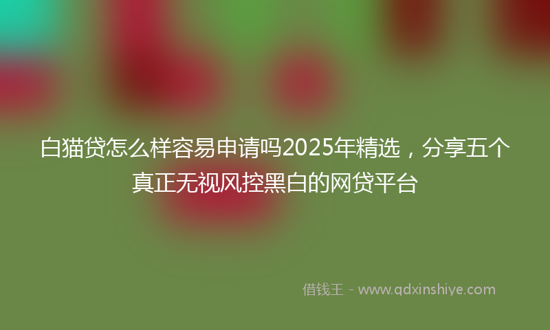 白猫贷怎么样容易申请吗2025年精选，分享五个真正无视风控黑白的网贷平台