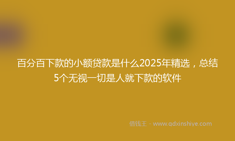 百分百下款的小额贷款是什么2025年精选，总结5个无视一切是人就下款的软件
