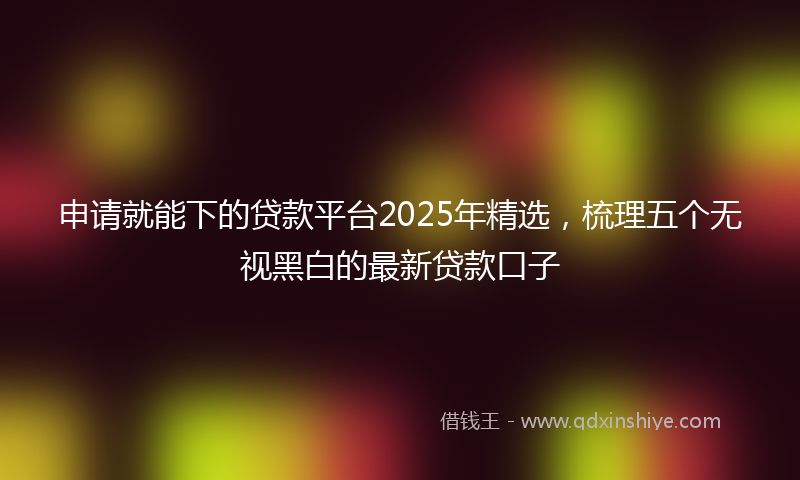 申请就能下的贷款平台2025年精选，梳理五个无视黑白的最新贷款口子
