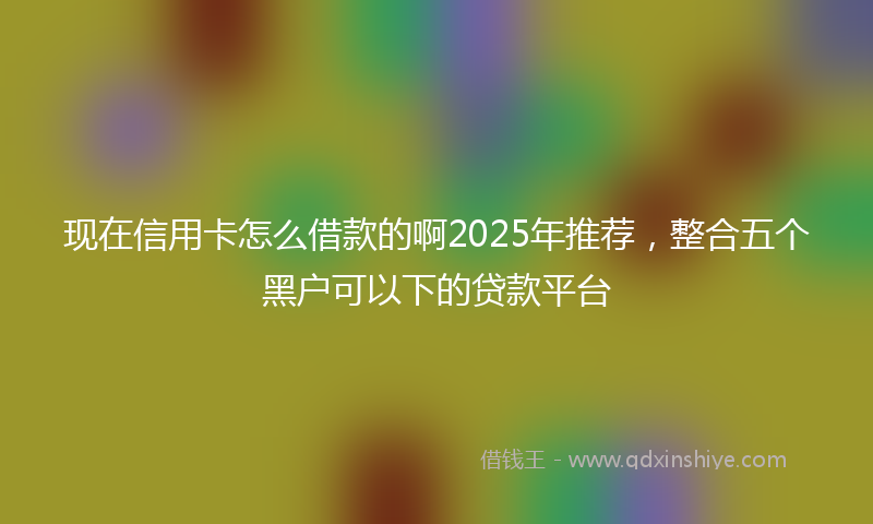 现在信用卡怎么借款的啊2025年推荐，整合五个黑户可以下的贷款平台