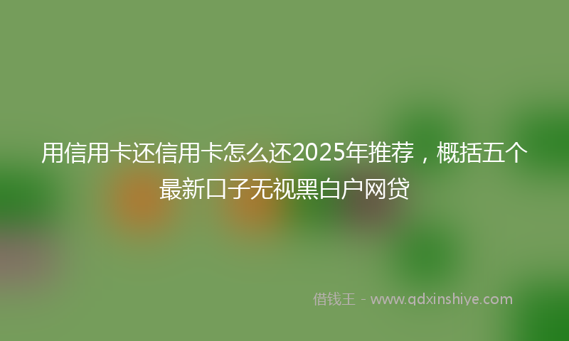 用信用卡还信用卡怎么还2025年推荐,概括五个最新口子无视黑白户网贷