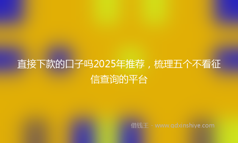 直接下款的口子吗2025年推荐，梳理五个不看征信查询的平台