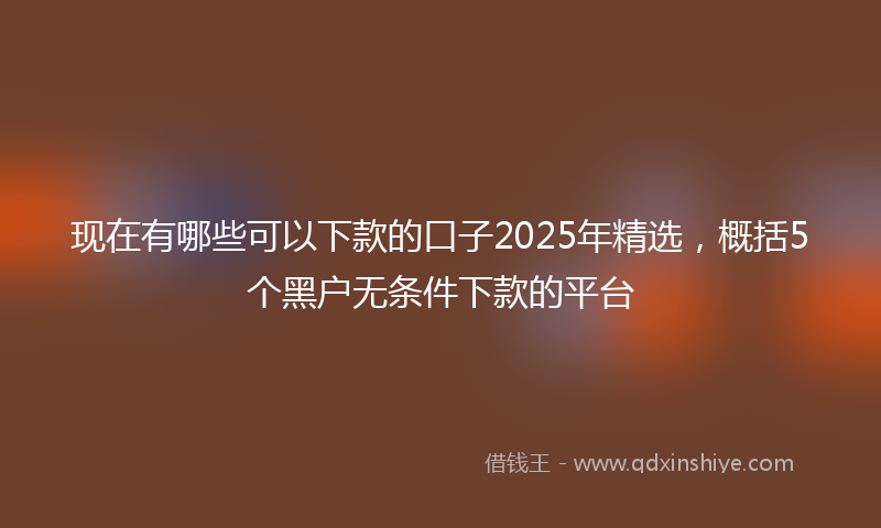 现在有哪些可以下款的口子2025年精选，概括5个黑户无条件下款的平台