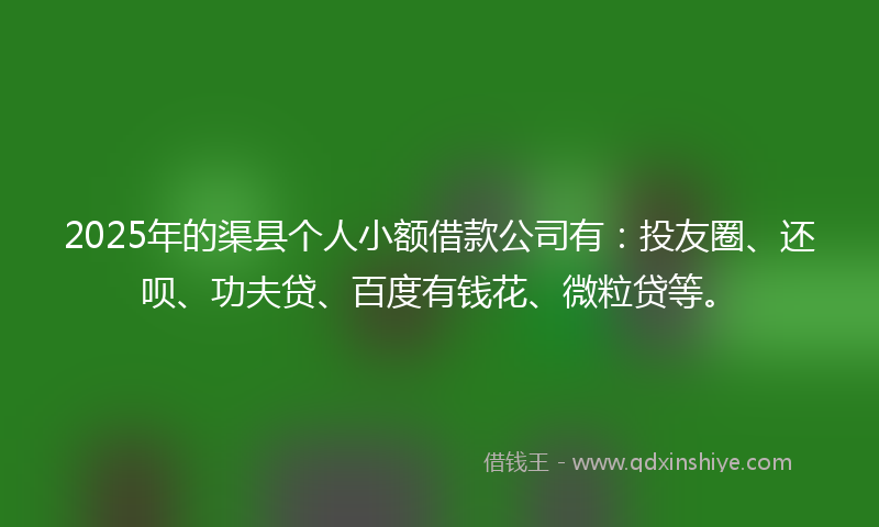 2025年的渠县个人小额借款公司有：投友圈、还呗、功夫贷、百度有钱花、微粒贷等。