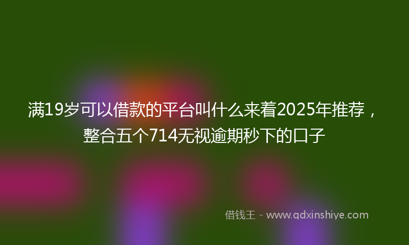 满19岁可以借款的平台叫什么来着2025年推荐，整合五个714无视逾期秒下的口子