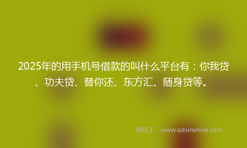 2025年的用手机号借款的叫什么平台有：你我贷、功夫贷、替你还、东方汇、随身贷等。