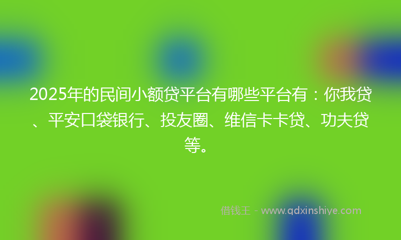 2025年的民间小额贷平台有哪些平台有：你我贷、平安口袋银行、投友圈、维信卡卡贷、功夫贷等。