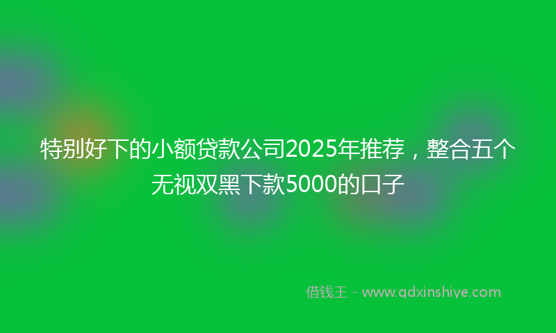 特别好下的小额贷款公司2025年推荐，整合五个无视双黑下款5000的口子
