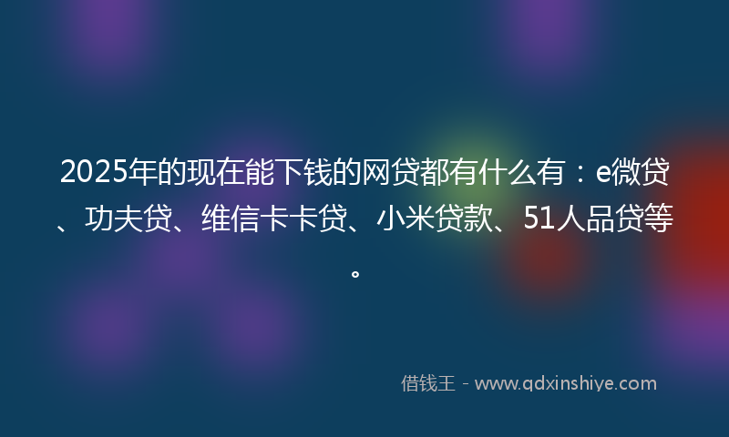 2025年的现在能下钱的网贷都有什么有：e微贷、功夫贷、维信卡卡贷、小米贷款、51人品贷等。