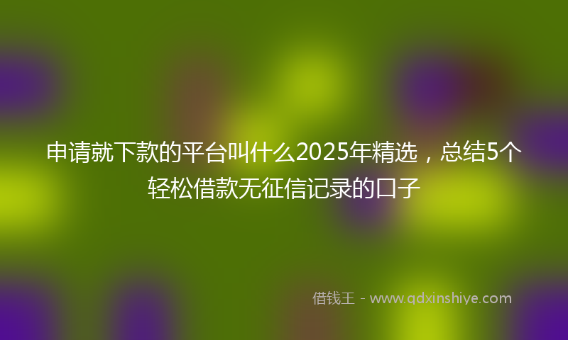 申请就下款的平台叫什么2025年精选，总结5个轻松借款无征信记录的口子