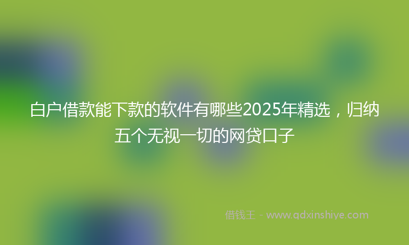白户借款能下款的软件有哪些2025年精选，归纳五个无视一切的网贷口子
