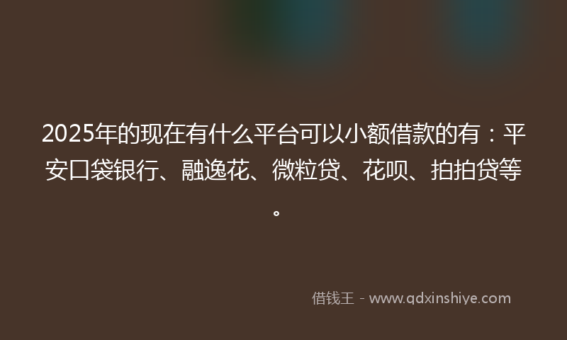 2025年的现在有什么平台可以小额借款的有：平安口袋银行、融逸花、微粒贷、花呗、拍拍贷等。