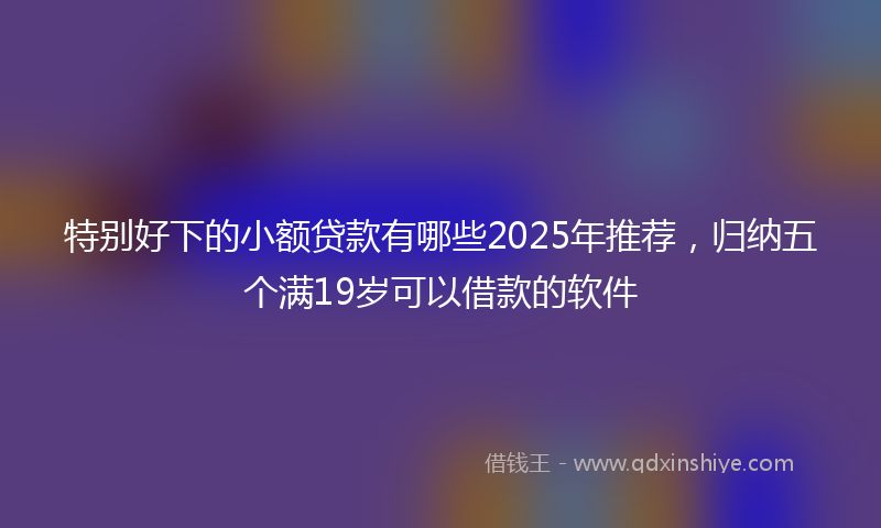 特别好下的小额贷款有哪些2025年推荐，归纳五个满19岁可以借款的软件