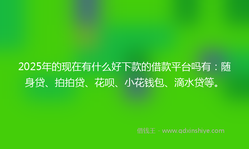2025年的现在有什么好下款的借款平台吗有:随身贷、拍拍贷、花呗、小花钱包、滴水贷等。