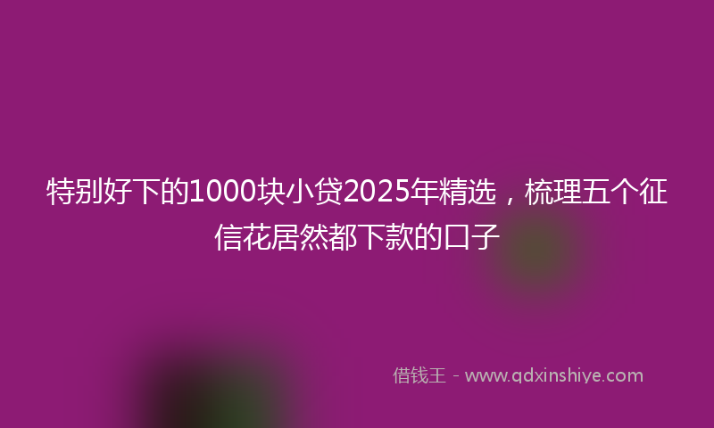 特别好下的1000块小贷2025年精选，梳理五个征信花居然都下款的口子
