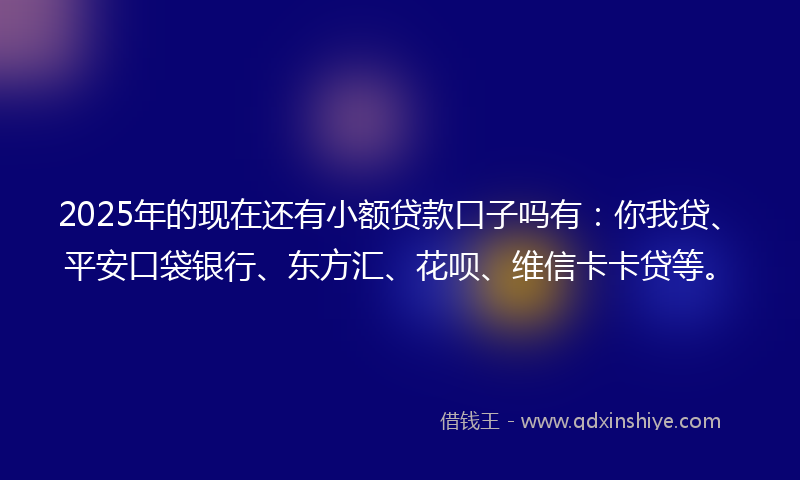 2025年的现在还有小额贷款口子吗有：你我贷、平安口袋银行、东方汇、花呗、维信卡卡贷等。