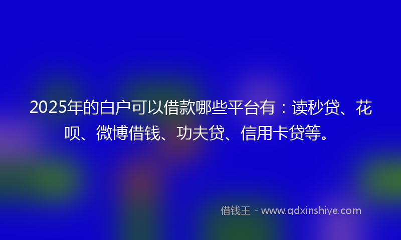 2025年的白户可以借款哪些平台有：读秒贷、花呗、微博借钱、功夫贷、信用卡贷等。