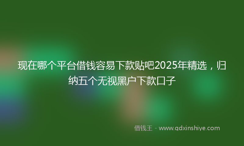 现在哪个平台借钱容易下款贴吧2025年精选，归纳五个无视黑户下款口子
