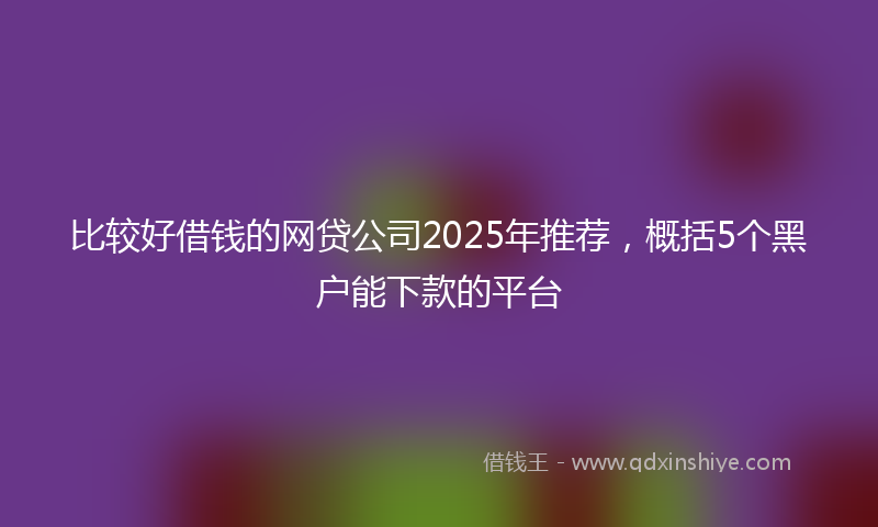 比较好借钱的网贷公司2025年推荐，概括5个黑户能下款的平台