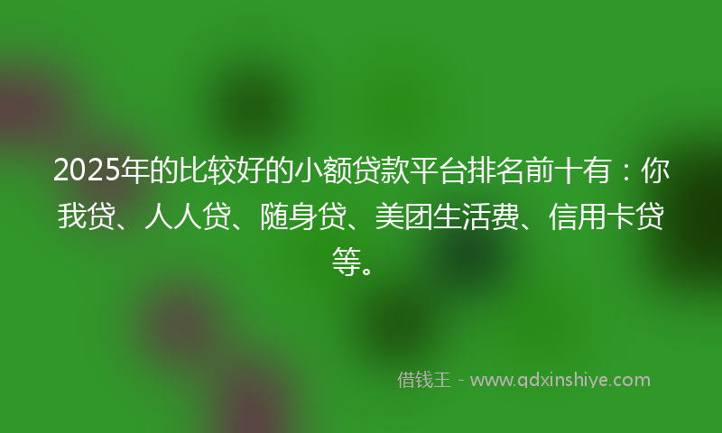 2025年的比较好的小额贷款平台排名前十有：你我贷、人人贷、随身贷、美团生活费、信用卡贷等。