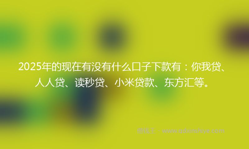 2025年的现在有没有什么口子下款有：你我贷、人人贷、读秒贷、小米贷款、东方汇等。