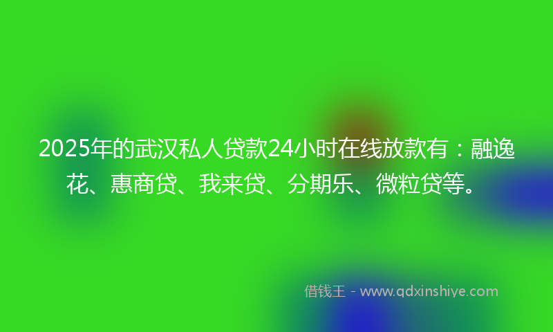 2025年的武汉私人贷款24小时在线放款有：融逸花、惠商贷、我来贷、分期乐、微粒贷等。