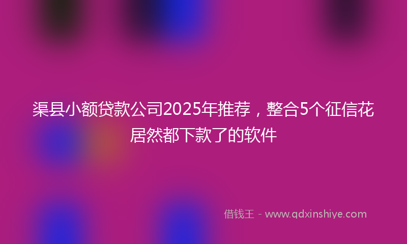 渠县小额贷款公司2025年推荐，整合5个征信花居然都下款了的软件