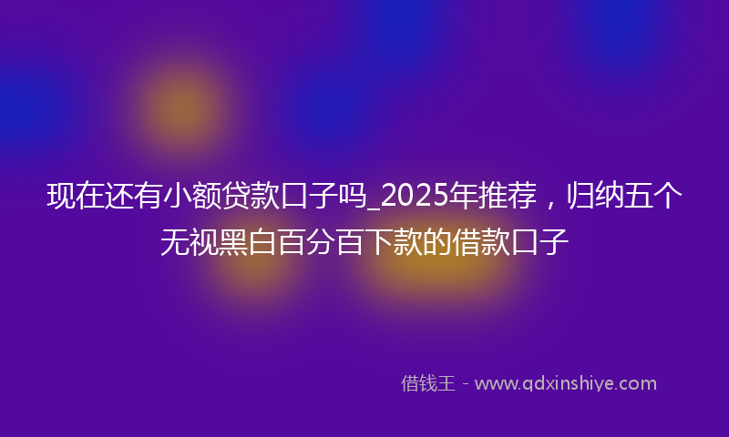 现在还有小额贷款口子吗_2025年推荐，归纳五个无视黑白百分百下款的借款口子