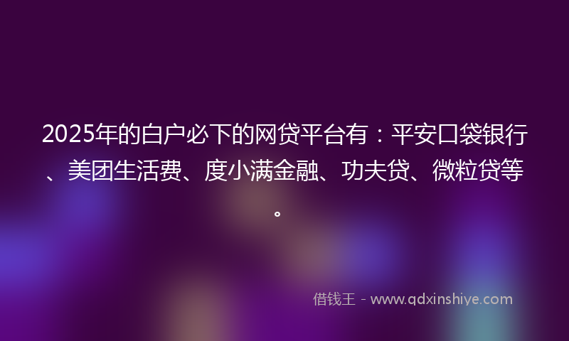2025年的白户必下的网贷平台有：平安口袋银行、美团生活费、度小满金融、功夫贷、微粒贷等。
