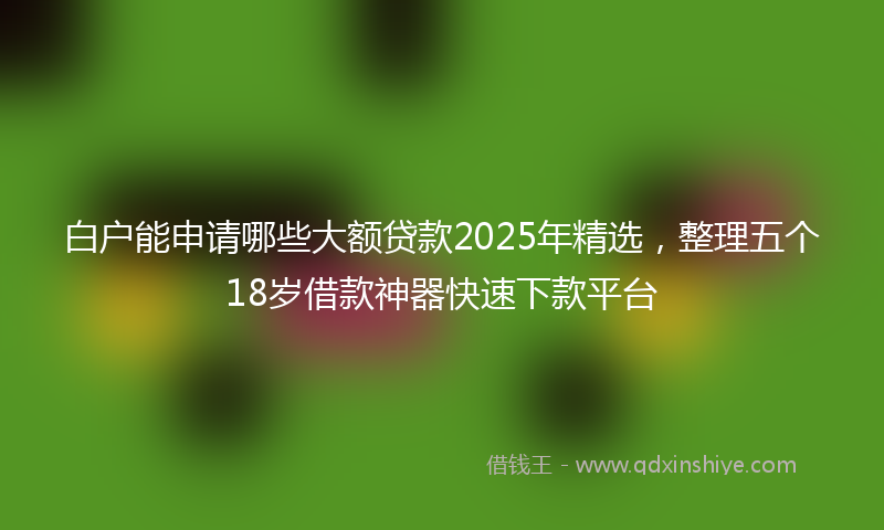 白户能申请哪些大额贷款2025年精选，整理五个18岁借款神器快速下款平台