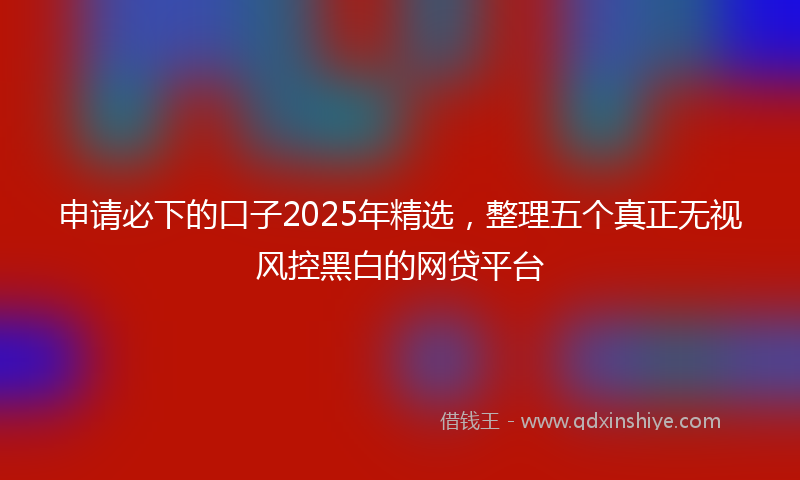 申请必下的口子2025年精选，整理五个真正无视风控黑白的网贷平台