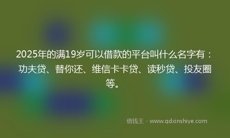 2025年的满19岁可以借款的平台叫什么名字有：功夫贷、替你还、维信卡卡贷、读秒贷、投友圈等。