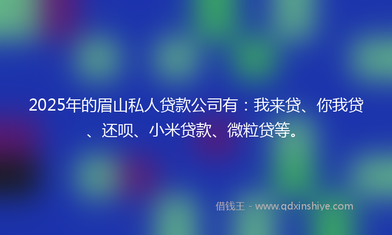 2025年的眉山私人贷款公司有：我来贷、你我贷、还呗、小米贷款、微粒贷等。