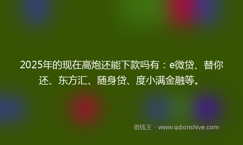 2025年的现在高炮还能下款吗有：e微贷、替你还、东方汇、随身贷、度小满金融等。
