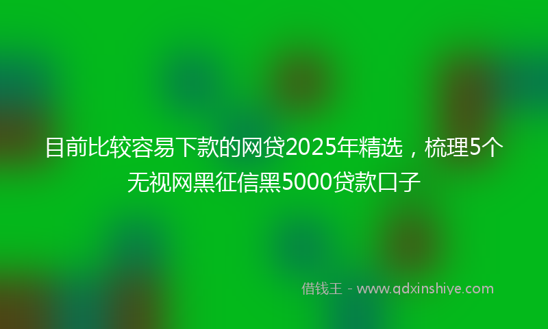 目前比较容易下款的网贷2025年精选，梳理5个无视网黑征信黑5000贷款口子