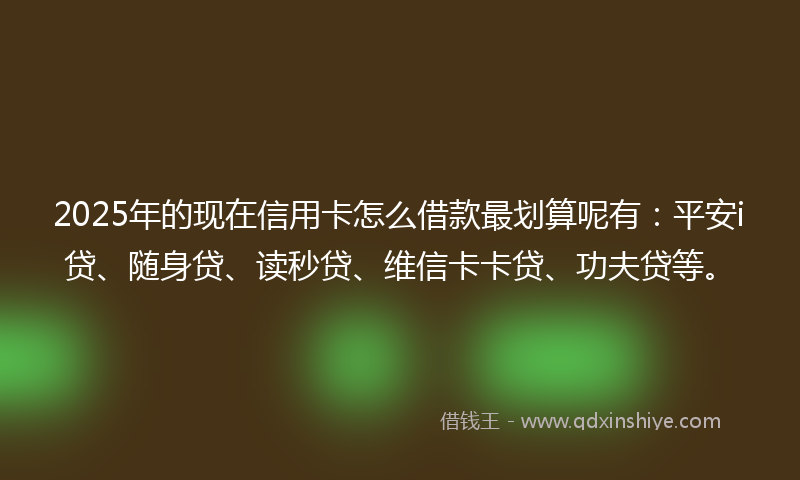2025年的现在信用卡怎么借款最划算呢有：平安i贷、随身贷、读秒贷、维信卡卡贷、功夫贷等。