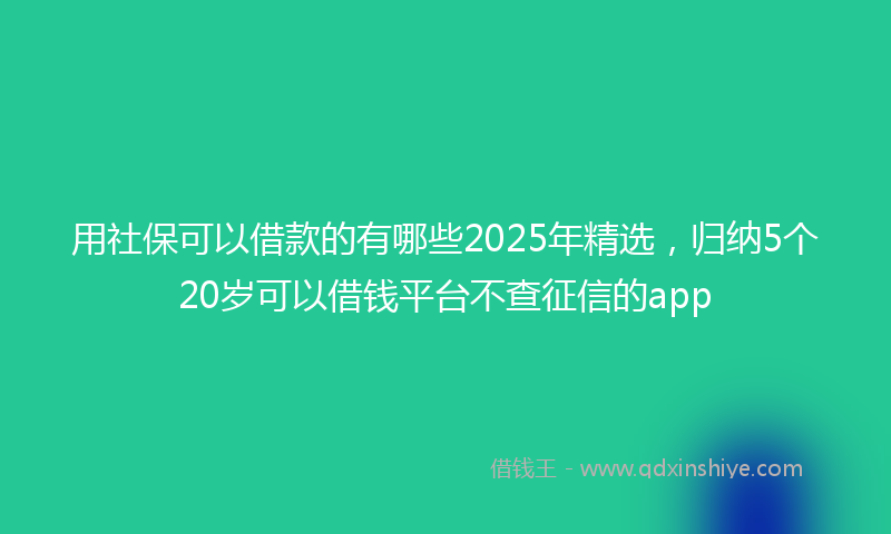 用社保可以借款的有哪些2025年精选，归纳5个20岁可以借钱平台不查征信的app