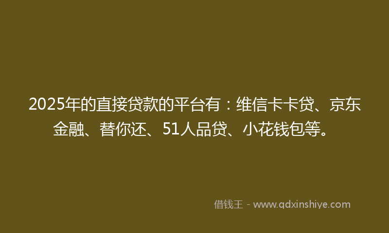 2025年的直接贷款的平台有：维信卡卡贷、京东金融、替你还、51人品贷、小花钱包等。