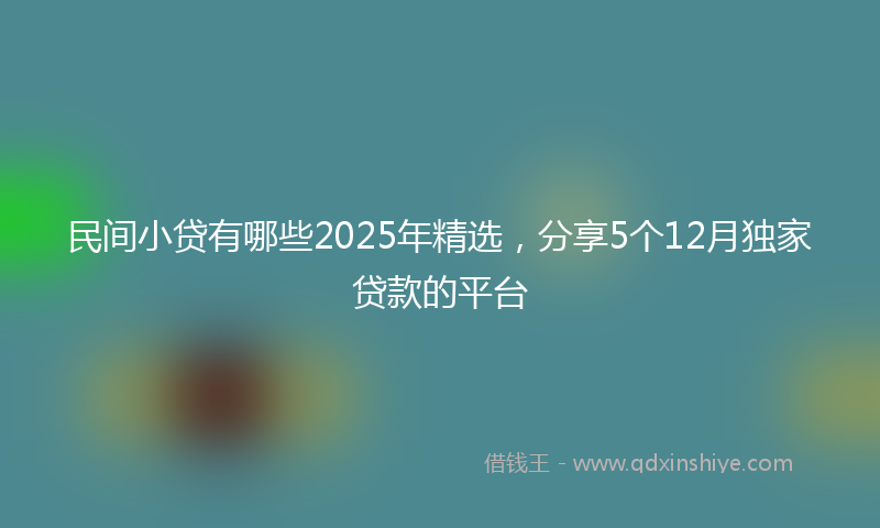 民间小贷有哪些2025年精选，分享5个12月独家贷款的平台