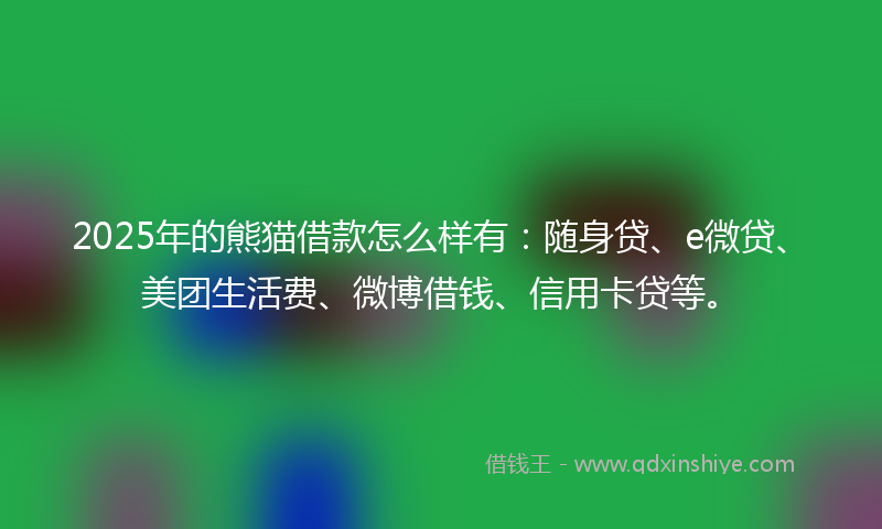 2025年的熊猫借款怎么样有：随身贷、e微贷、美团生活费、微博借钱、信用卡贷等。
