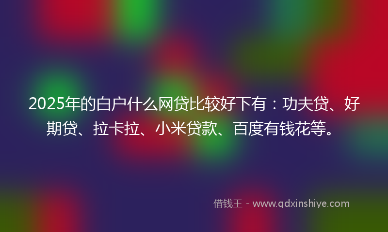 2025年的白户什么网贷比较好下有：功夫贷、好期贷、拉卡拉、小米贷款、百度有钱花等。