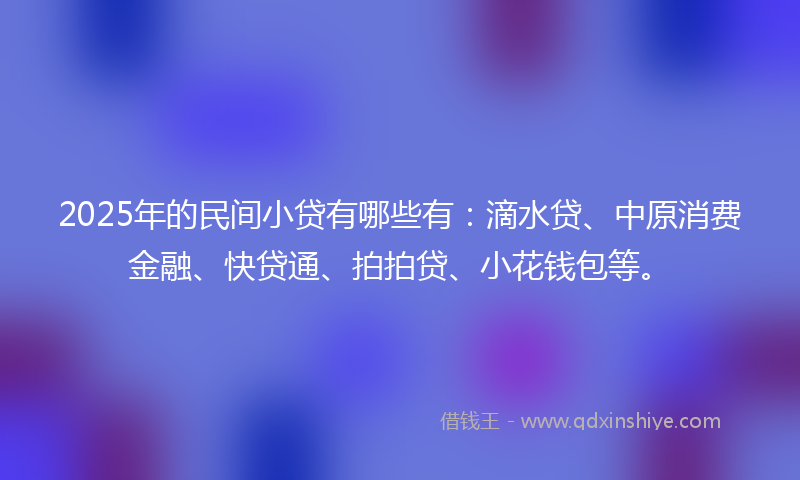 2025年的民间小贷有哪些有：滴水贷、中原消费金融、快贷通、拍拍贷、小花钱包等。