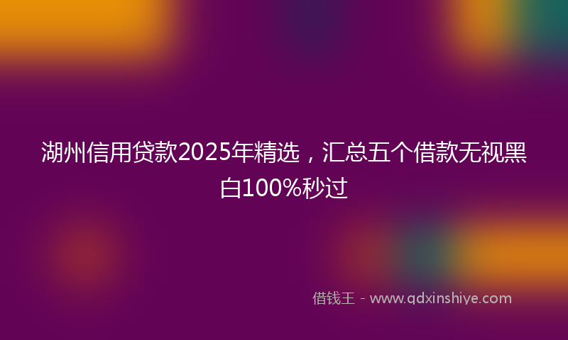 湖州信用贷款2025年精选，汇总五个借款无视黑白100%秒过