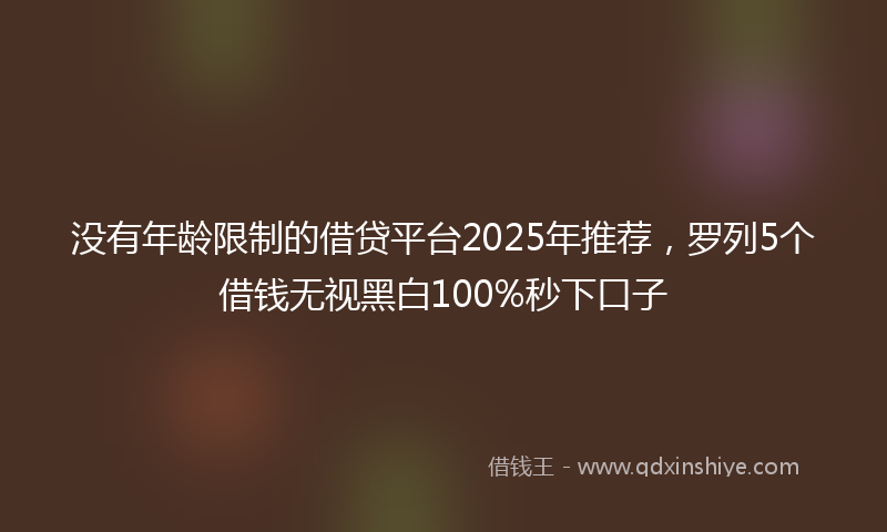 没有年龄限制的借贷平台2025年推荐，罗列5个借钱无视黑白100%秒下口子