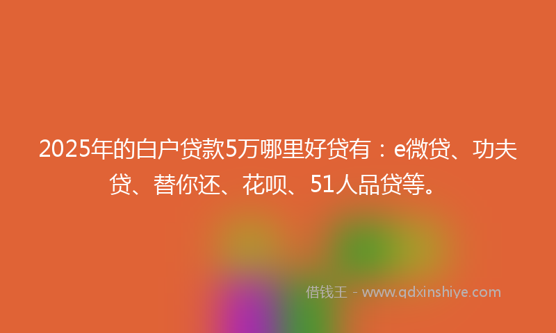 2025年的白户贷款5万哪里好贷有：e微贷、功夫贷、替你还、花呗、51人品贷等。