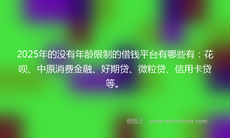 2025年的没有年龄限制的借钱平台有哪些有：花呗、中原消费金融、好期贷、微粒贷、信用卡贷等。