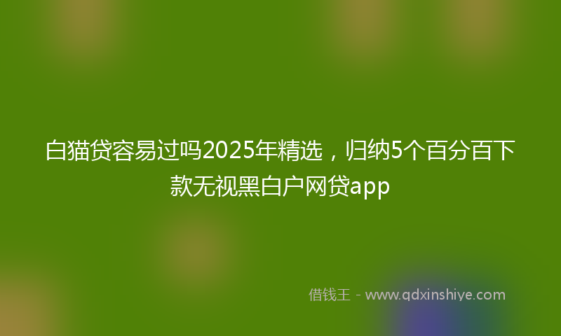 白猫贷容易过吗2025年精选，归纳5个百分百下款无视黑白户网贷app