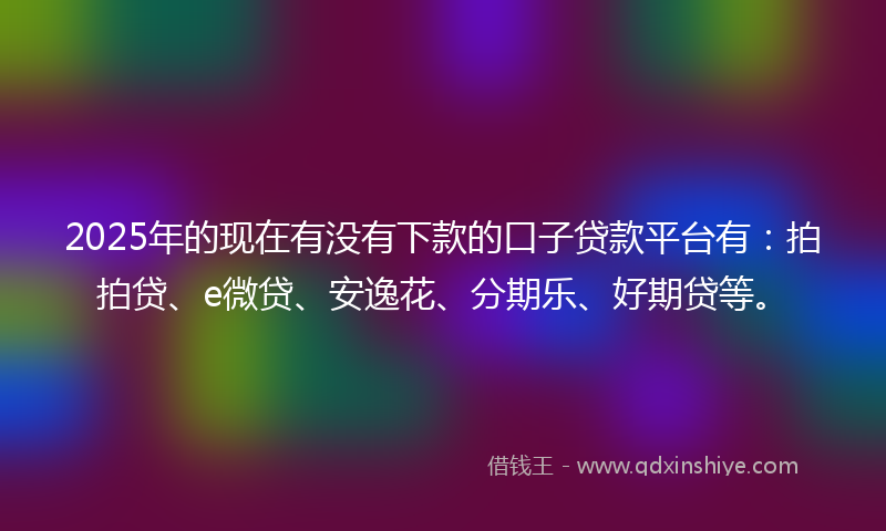 2025年的现在有没有下款的口子贷款平台有：拍拍贷、e微贷、安逸花、分期乐、好期贷等。