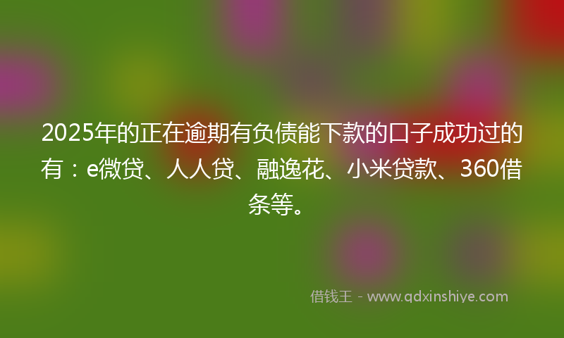 2025年的正在逾期有负债能下款的口子成功过的有：e微贷、人人贷、融逸花、小米贷款、360借条等。