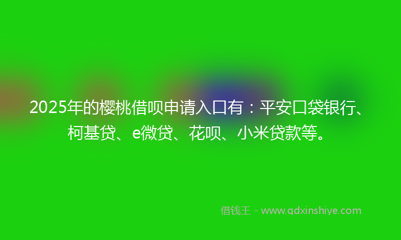 2025年的樱桃借呗申请入口有：平安口袋银行、柯基贷、e微贷、花呗、小米贷款等。